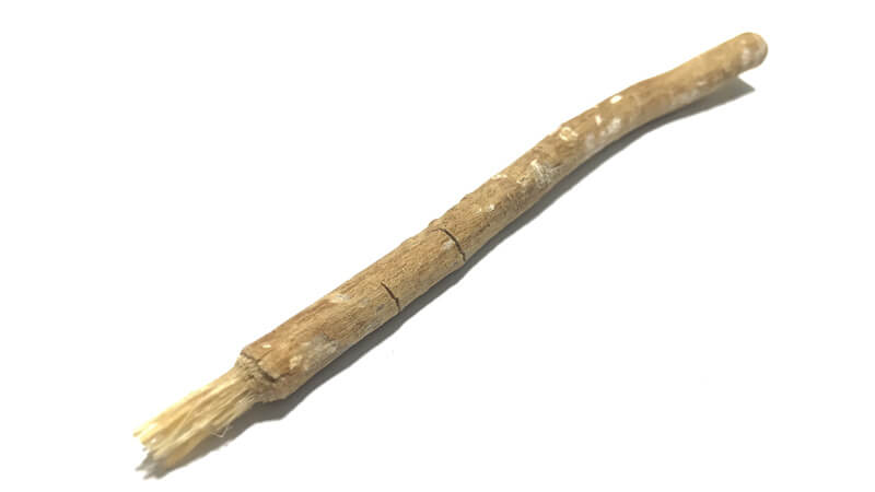 Mishwak イスラム教徒の間で一般的に使用される、歯を磨くための小枝